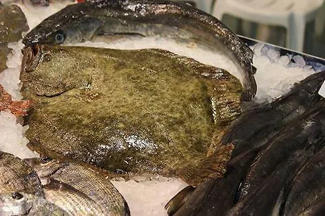 La Villanita Locanda Novales